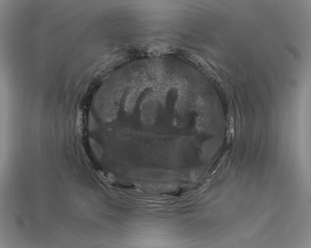 X0000112900519200909111527