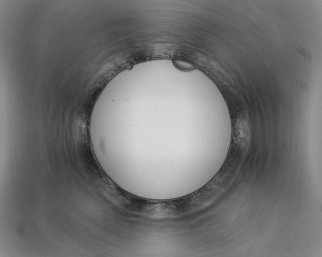 X0000112900522200909111527