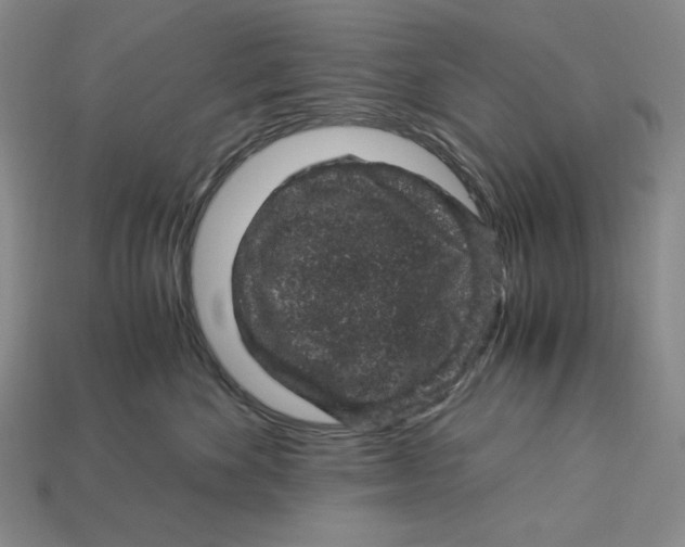 X0000112900524200909111527