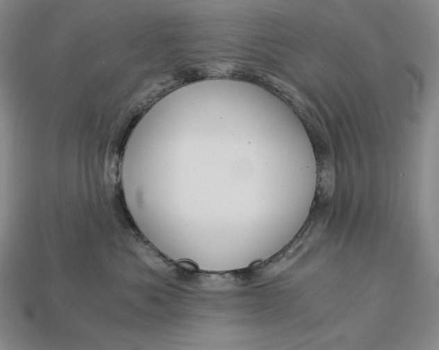 X0000112900525200909111527