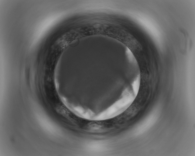X0000112900526200909111527
