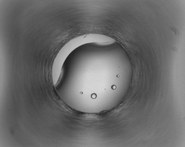 X0000112900528200909111527