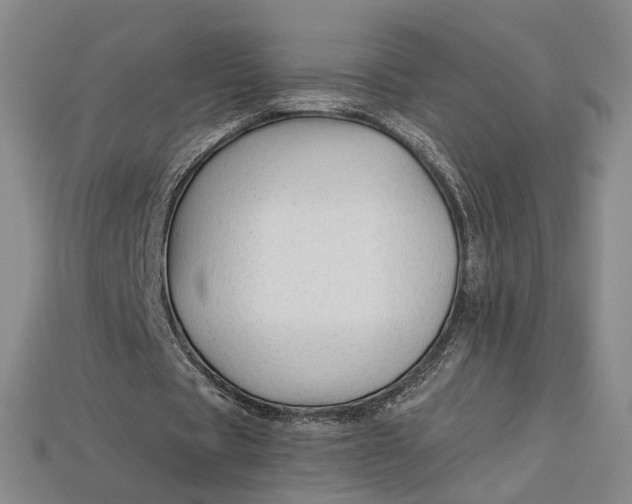 X0000112900529200909111526