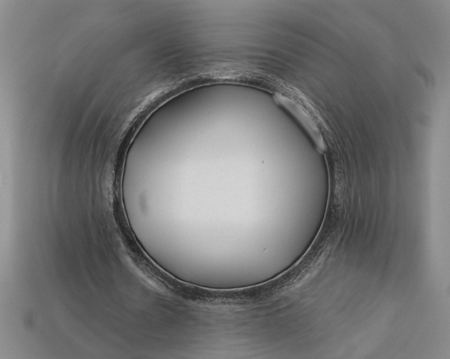 X0000112900530200909111526