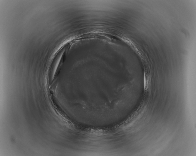 X0000112900531200909111526