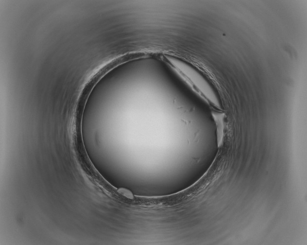 X0000112900532200909111526