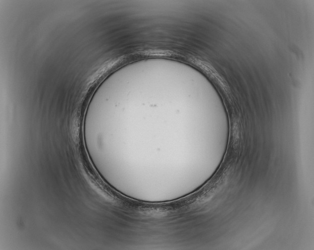 X0000112900533200909111527