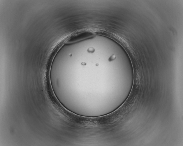 X0000112900535200909111527