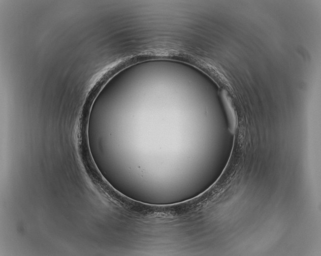 X0000112900536200909111527