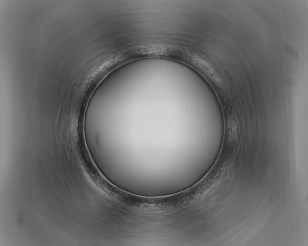 X0000112900538200909111527