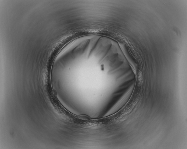 X0000112900540200909111527