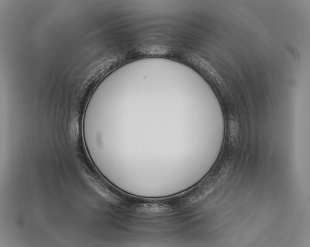 X0000112900541200909111527