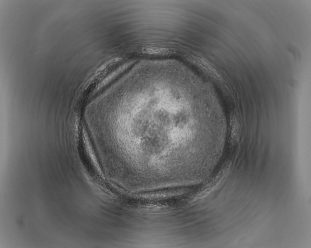 X0000112900542200909111527