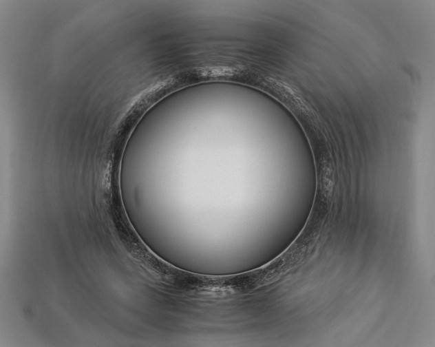 X0000112900543200909111527