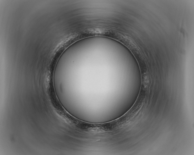 X0000112900544200909111527