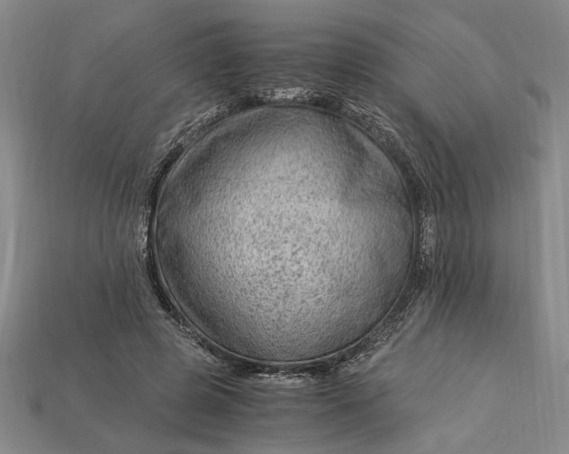 X0000112900545200909111527