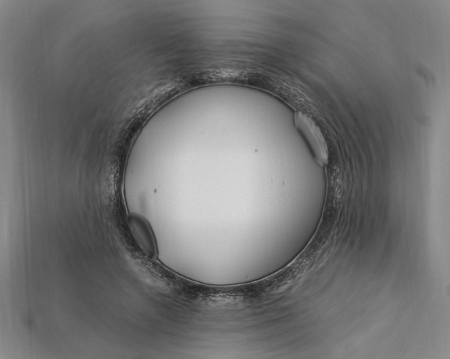 X0000112900546200909111527
