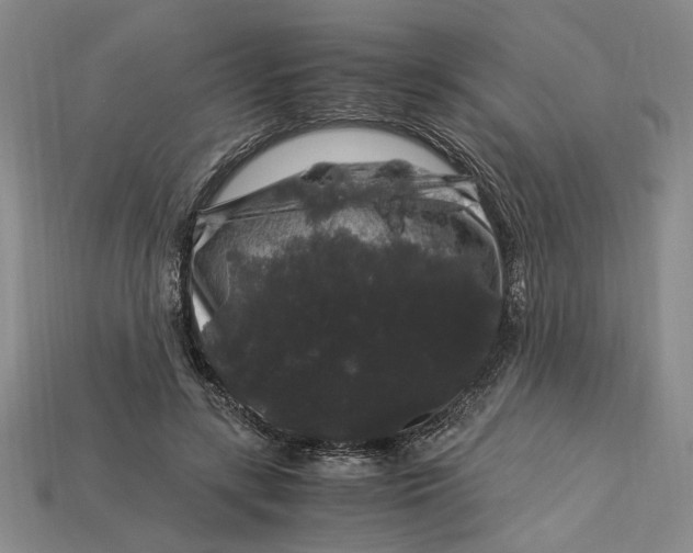X0000112900547200909111527