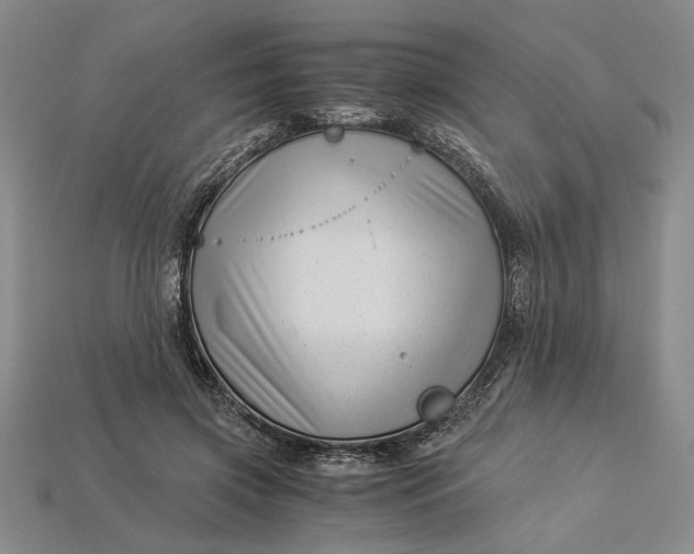 X0000112900549200909111527