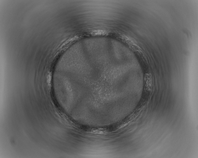 X0000112900550200909111527