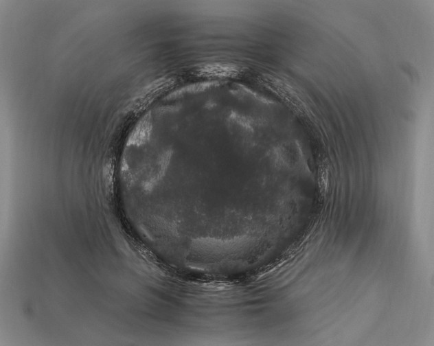 X0000112900551200909111527