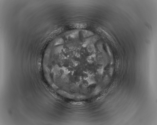 X0000112900553200909111527