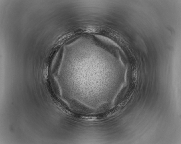 X0000112900554200909111527