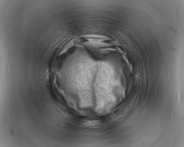 X0000112900555200909111527