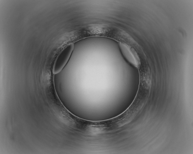 X0000112900556200909111527