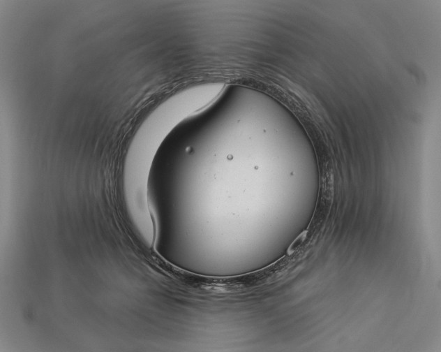 X0000112900558200909111527