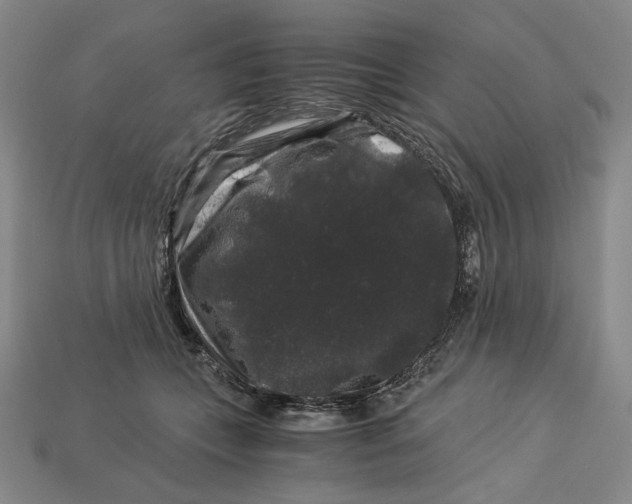 X0000112900559200909111527