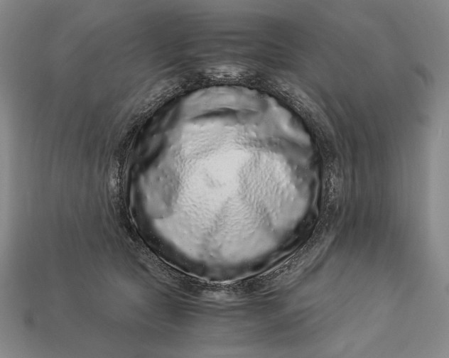 X0000112900561200909111527