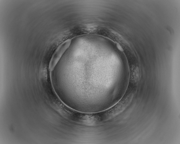 X0000112900562200909111527