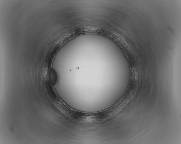 X0000112900564200909111527