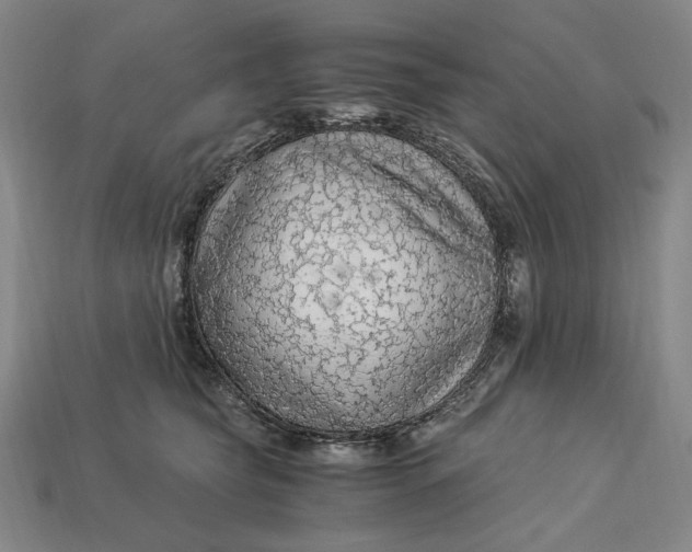 X0000112900565200909111527