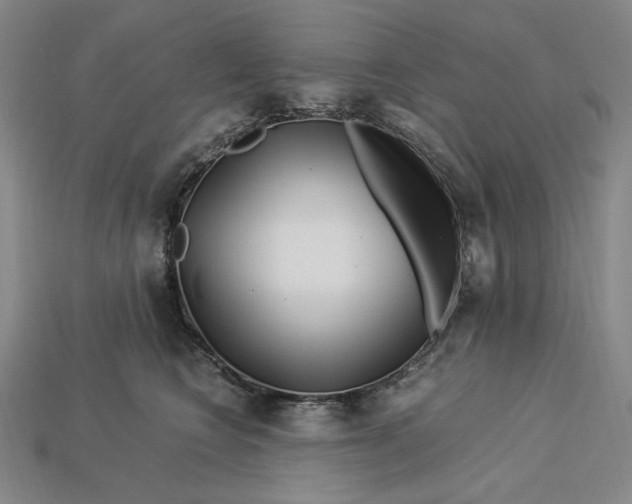 X0000112900566200909111527