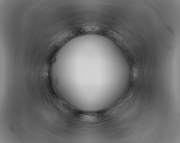 X0000112900567200909111527