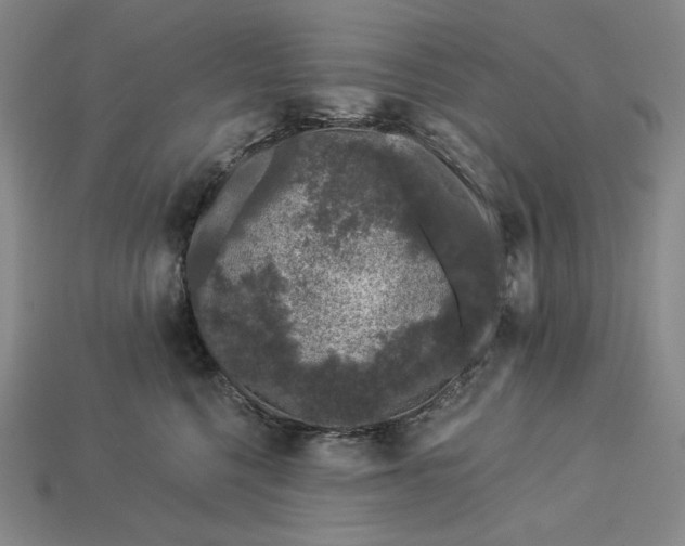 X0000112900568200909111527