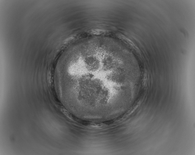 X0000112900569200909111527