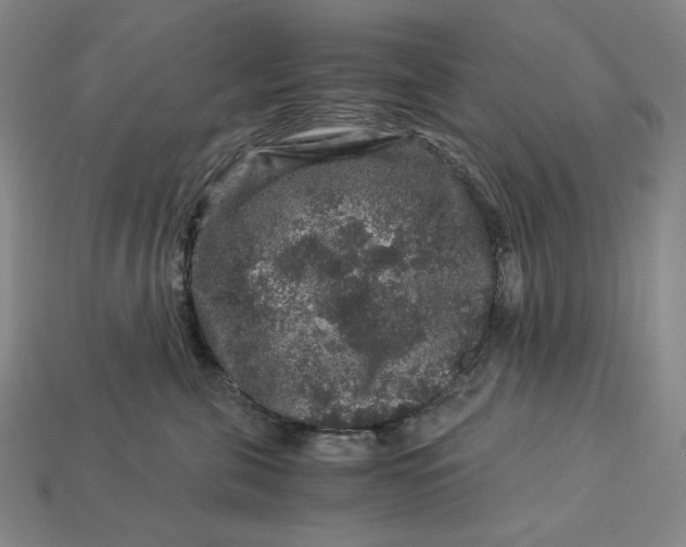 X0000112900571200909111527