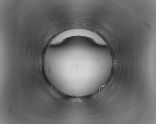X0000112900572200909111527