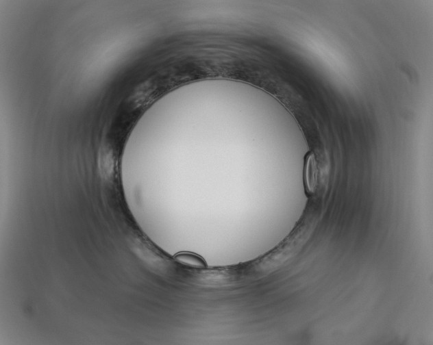 X0000112900574200909111527