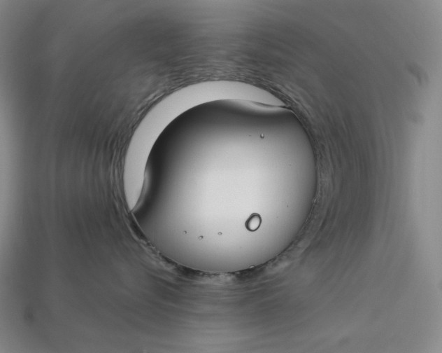 X0000112900576200909111527