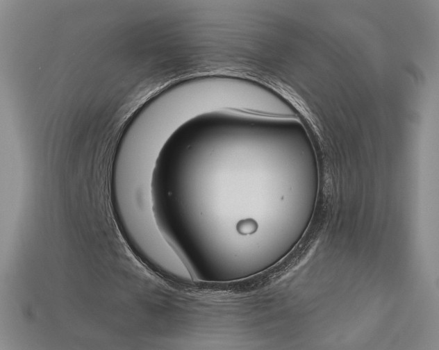 X0000112900577200909111526