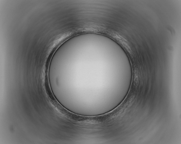 X0000112900578200909111526