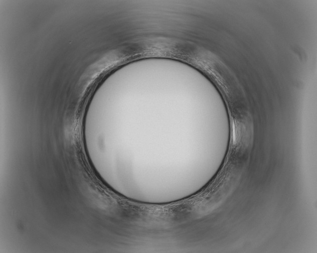 X0000112900579200909111526