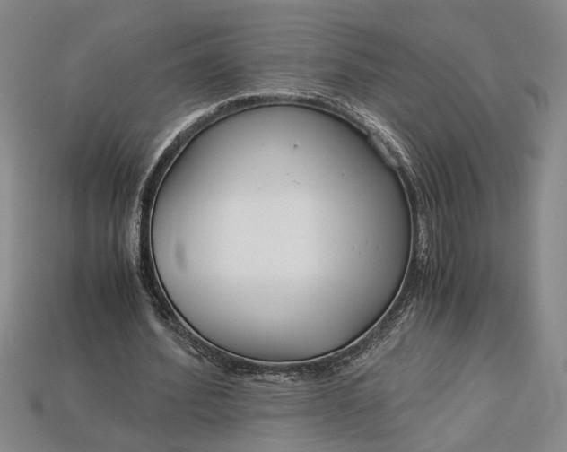 X0000112900580200909111526
