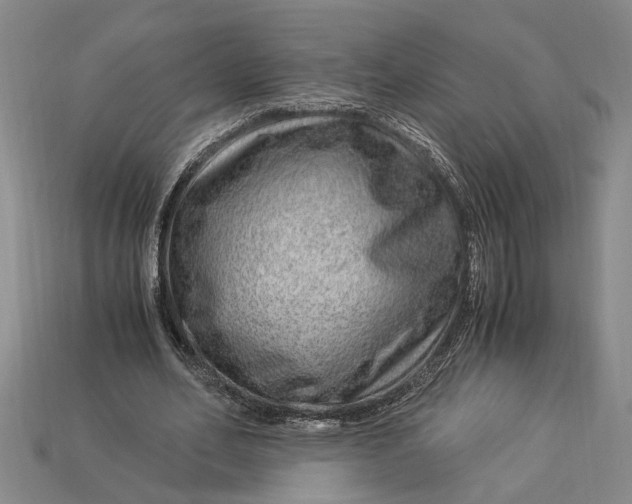 X0000112900582200909111526