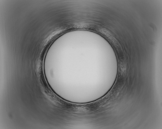X0000112900583200909111526