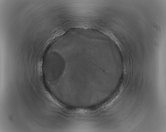 X0000112900585200909111526